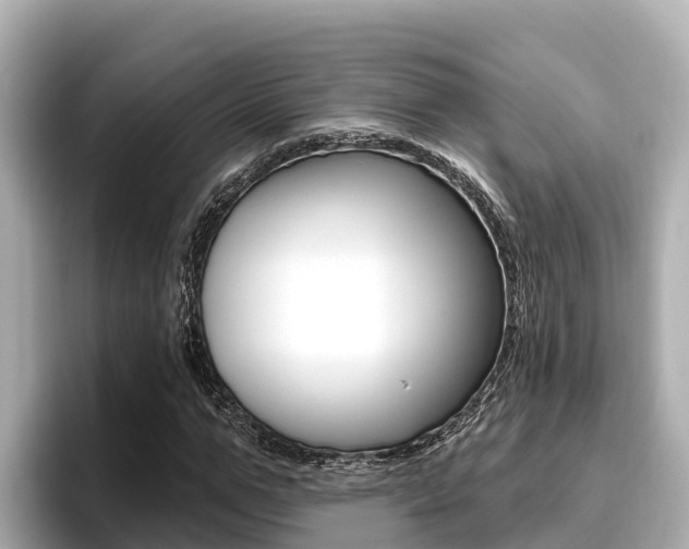 X0000096680967200802051026