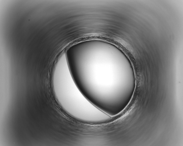 X0000096680969200802051026