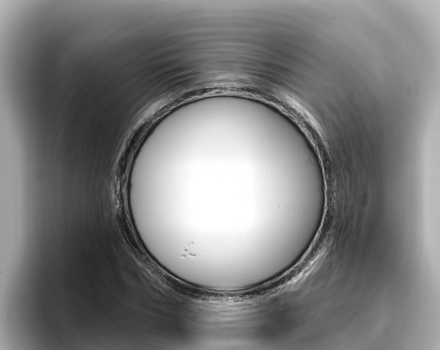 X0000096680970200802051026