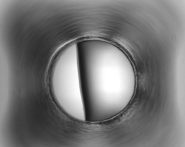 X0000096680971200802051026