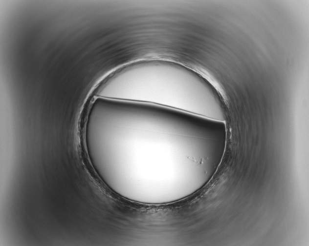 X0000096680972200802051026