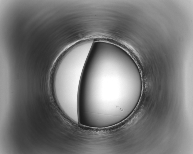 X0000096680973200802051026