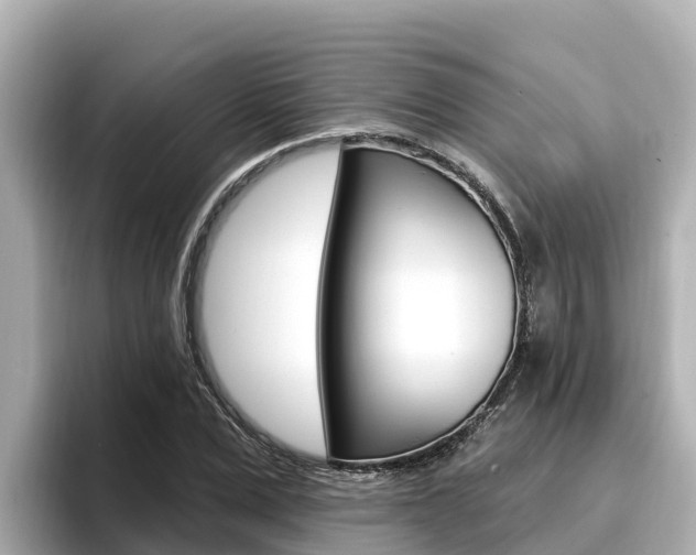 X0000096680975200802051026