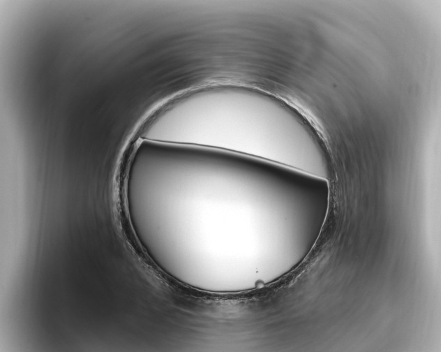 X0000096680976200802051026