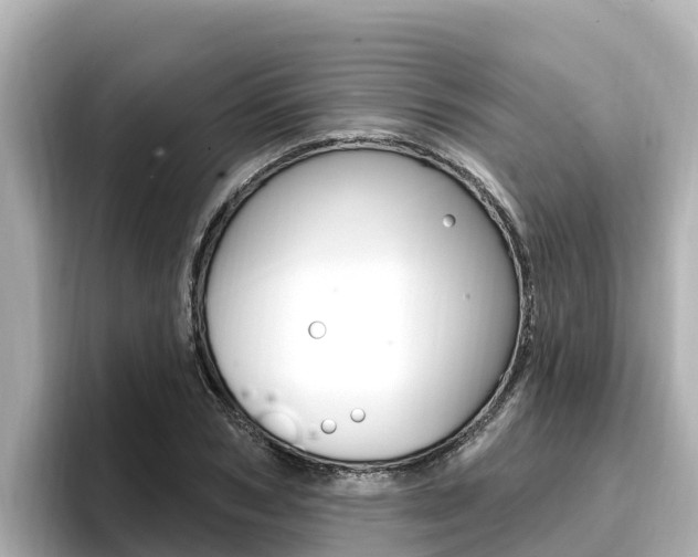 X0000096680978200802051026