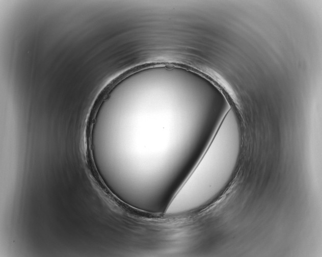 X0000096680980200802051026