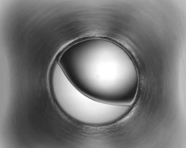 X0000096680981200802051026