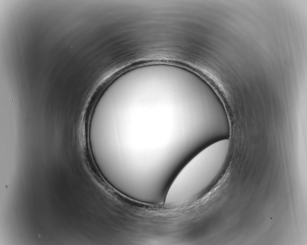 X0000096680982200802051026