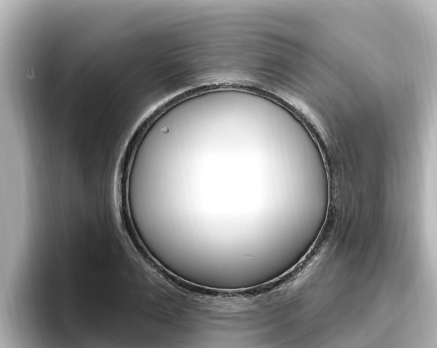 X0000096680983200802051026