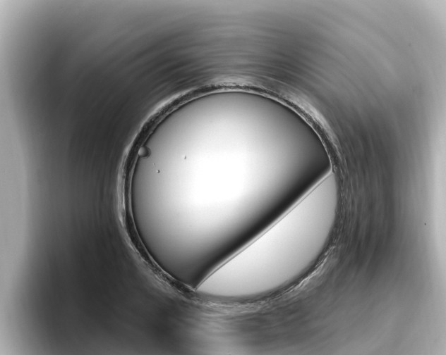 X0000096680984200802051026