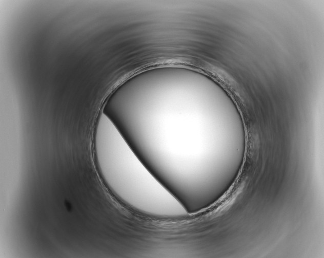 X0000096680985200802051026