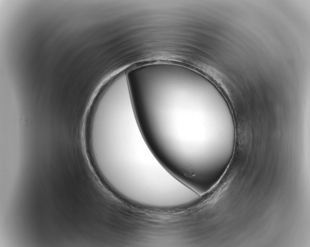 X0000096680987200802051026