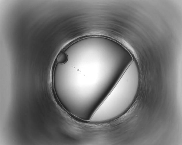 X0000096680988200802051026