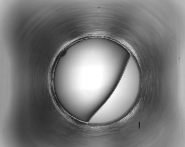 X0000096680989200802051026