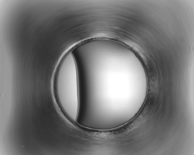 X0000096680991200802051026