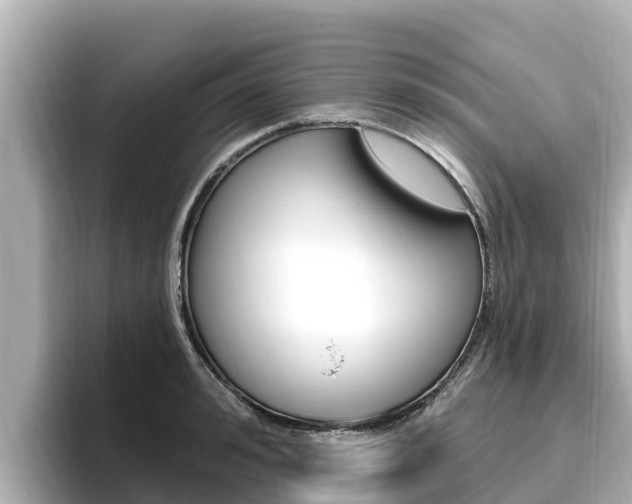 X0000096680992200802051026