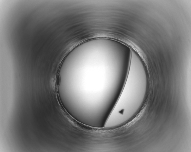 X0000096680993200802051026