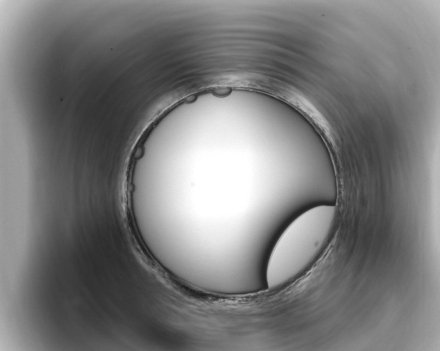 X0000096680994200802051026