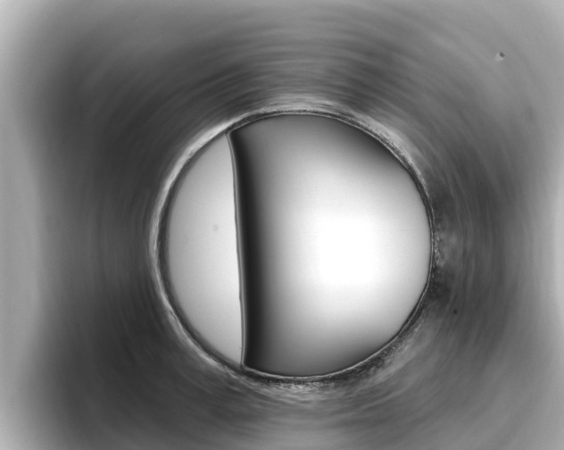 X0000096680995200802051026