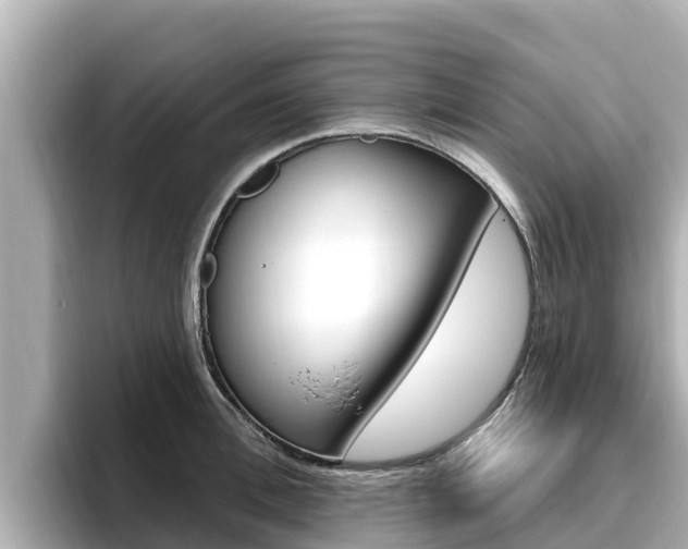 X0000096680996200802051026