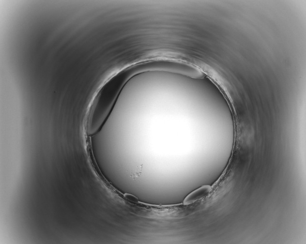 X0000096680997200802051026