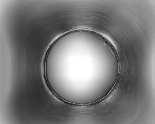 X0000096680999200802051026