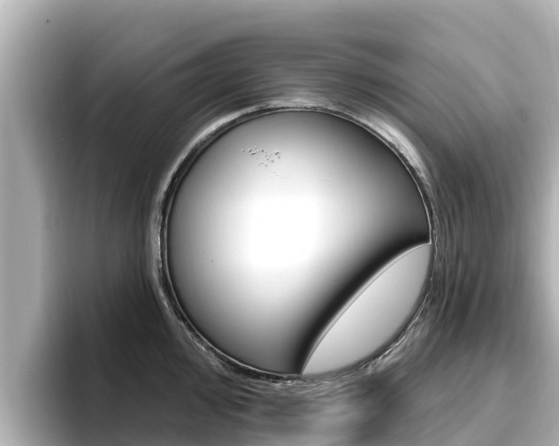 X0000096681000200802051026