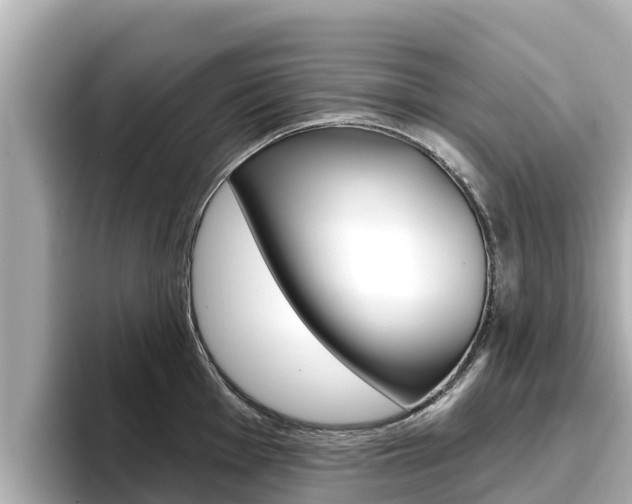 X0000096681001200802051026