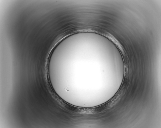 X0000096681002200802051026