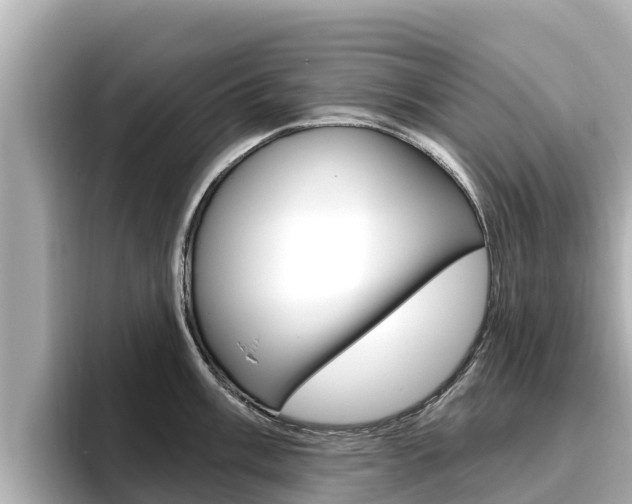 X0000096681003200802051026