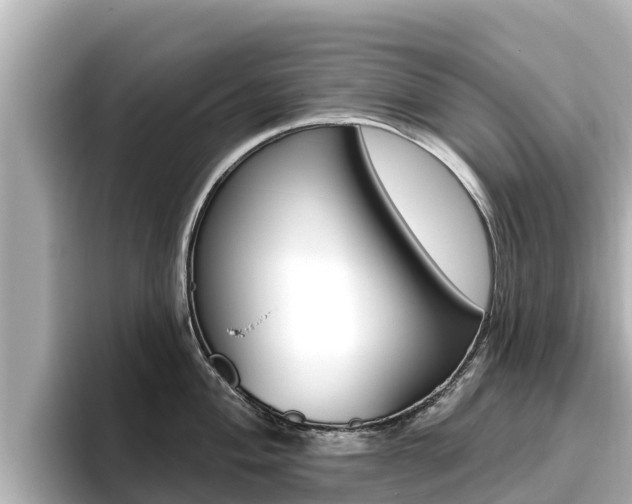 X0000096681004200802051026