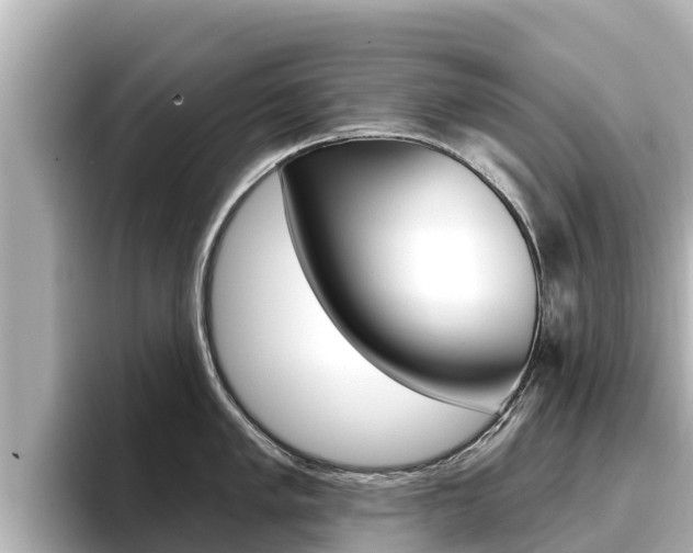 X0000096681005200802051026