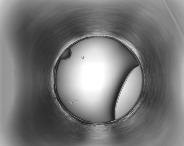 X0000096681006200802051026