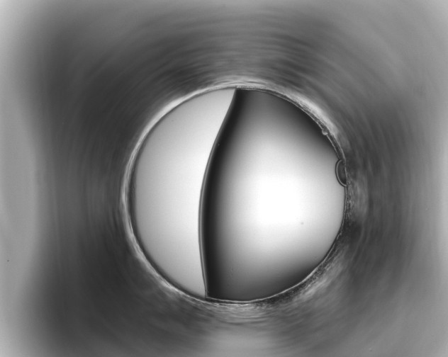 X0000096681007200802051026