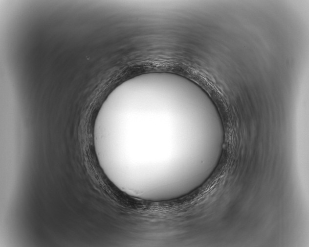 X0000096681009200802051025