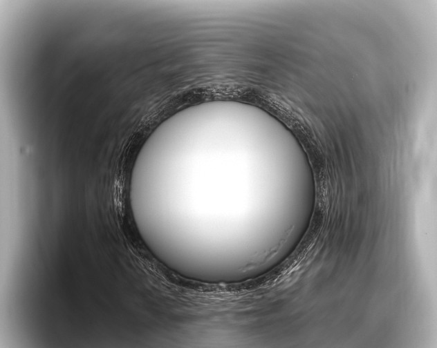 X0000096681010200802051025