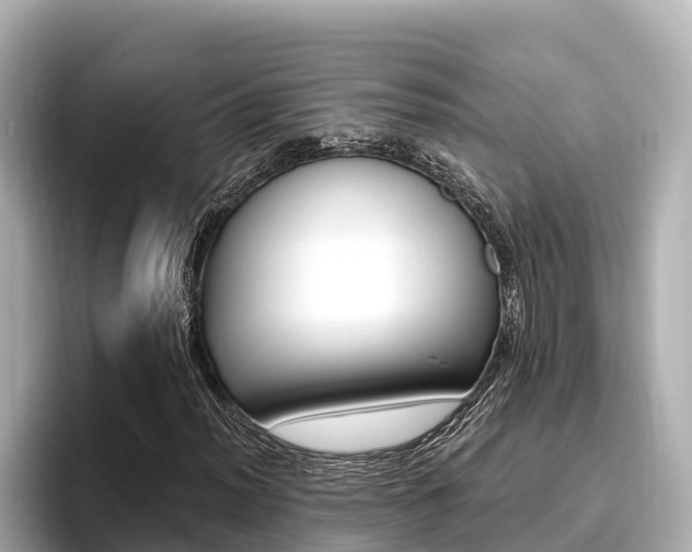 X0000096681012200802051025
