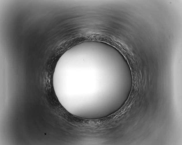 X0000096681013200802051025