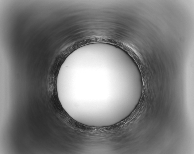 X0000096681015200802051025