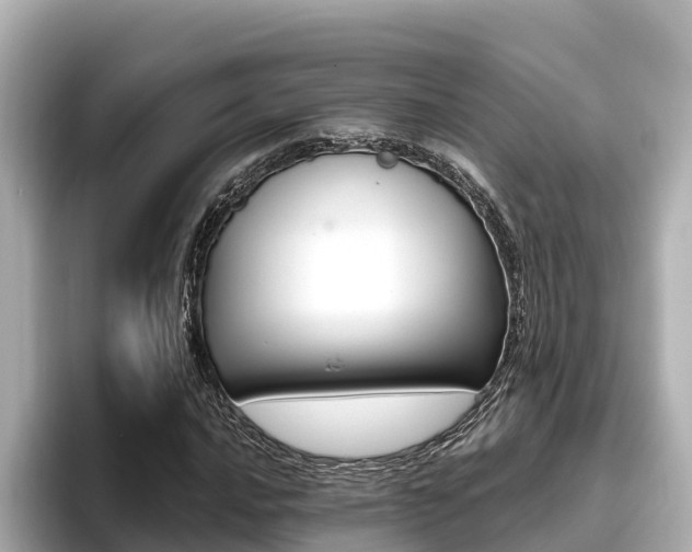 X0000096681016200802051025