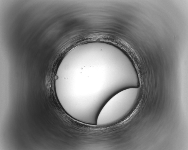 X0000096681017200802051025
