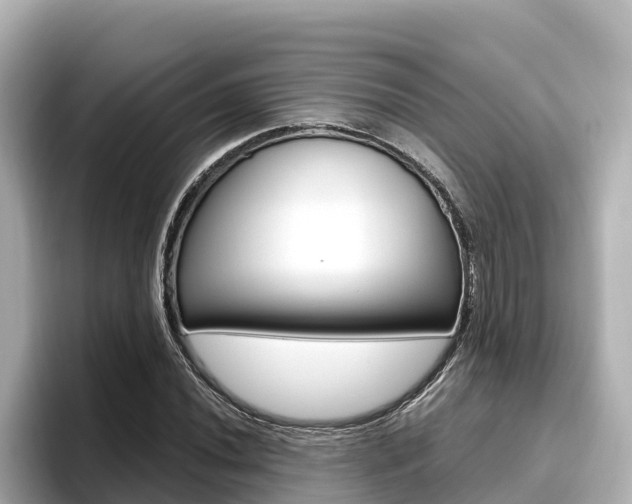 X0000096681020200802051025