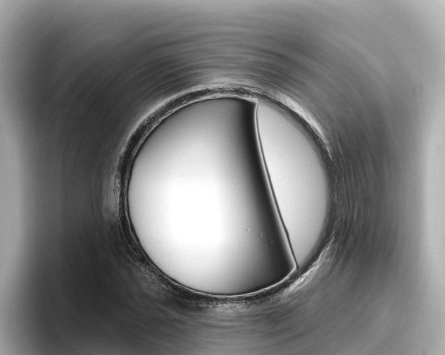 X0000096681021200802051025