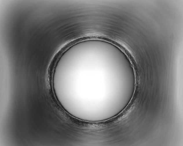 X0000096681022200802051025