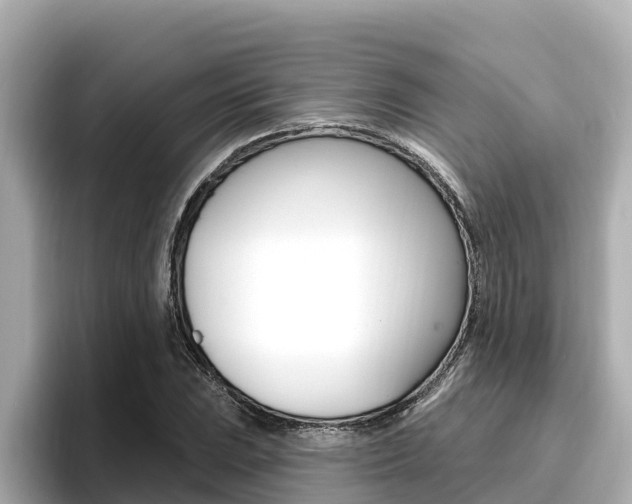 X0000096681023200802051025
