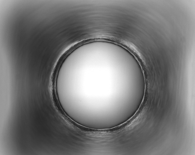 X0000096681024200802051025