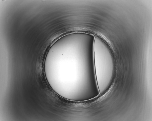 X0000096681025200802051025