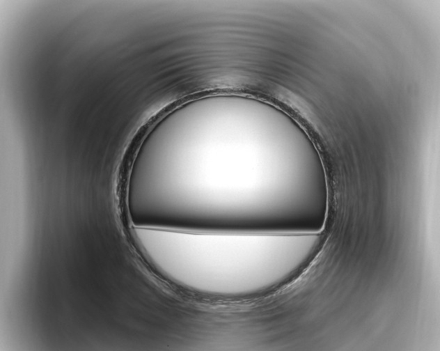 X0000096681026200802051025