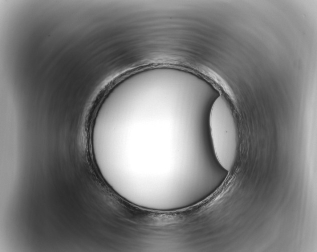 X0000096681027200802051025