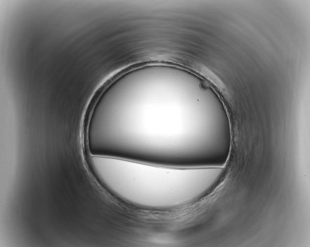 X0000096681028200802051026